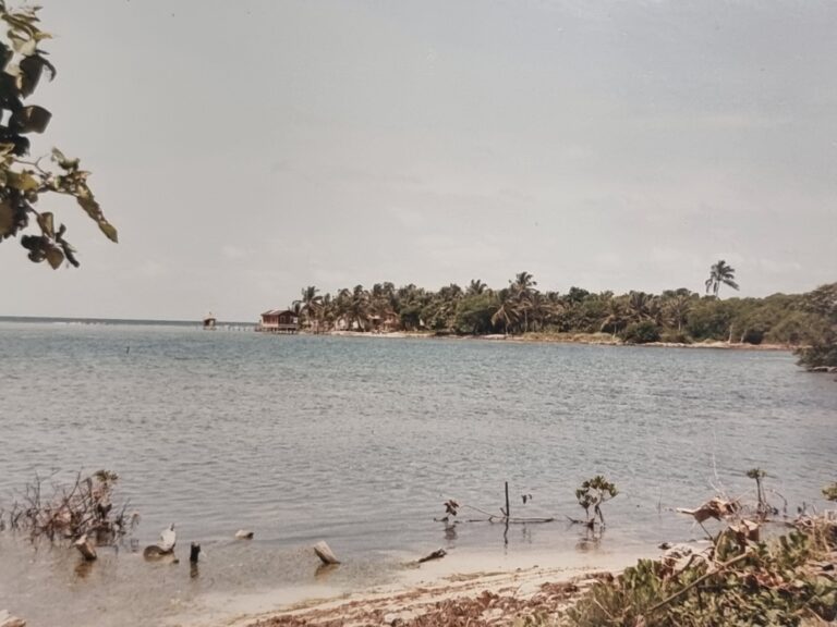 Bentley Bay, Helene 1986