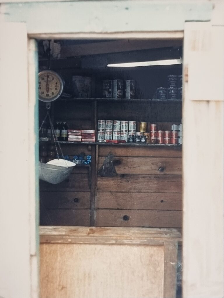 Village store Helene late 80’s (slim pickings!)
