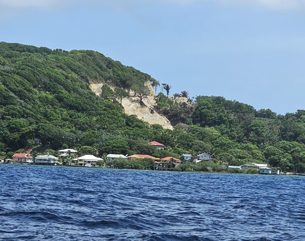 Several acres of Fiddlers Bight hillside ( part of the community watershed ) deforested and destroyed by developer who it turned out had no environmental permit. Project was inspected in early 2025 by COHDEFOR and Ministerio Publico but damage was already done.
