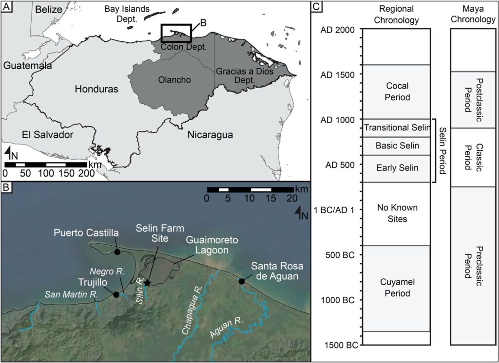 Figure 1: Regional Chronology showing pre-columbian Pech ( green ) civilization and post 1502 (yellow)