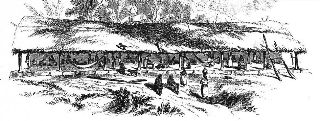 Figure 3 A sketch of a Pech 'Longhouse'done by EG Squier in 1858 ( at Trujillo )similar to the longhouses in Paya settlements on the Bay Islands ( AD 300-1600)